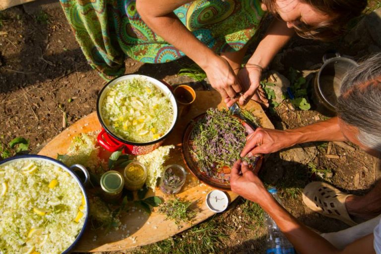 10474234 10153628062748322 4876411397992889932 n 768x512