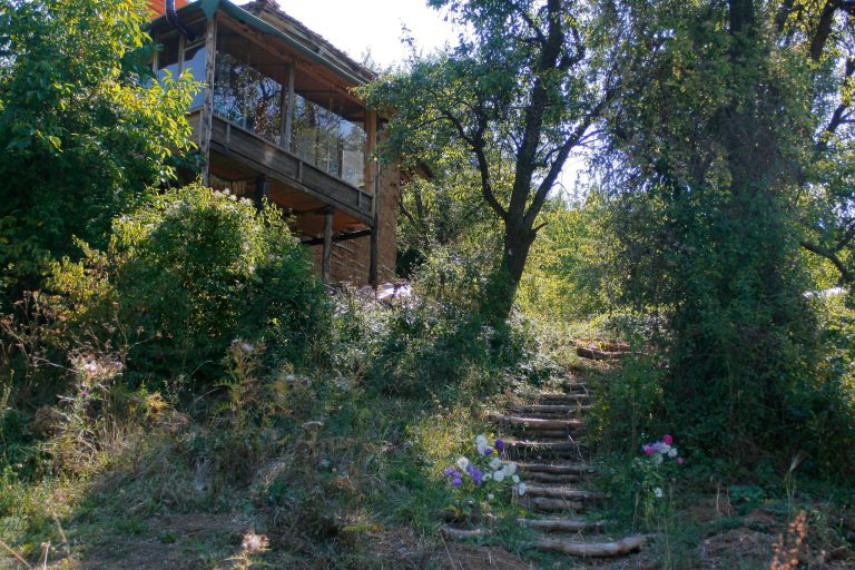 1097024 10151575548381821 419213723 o 768x512