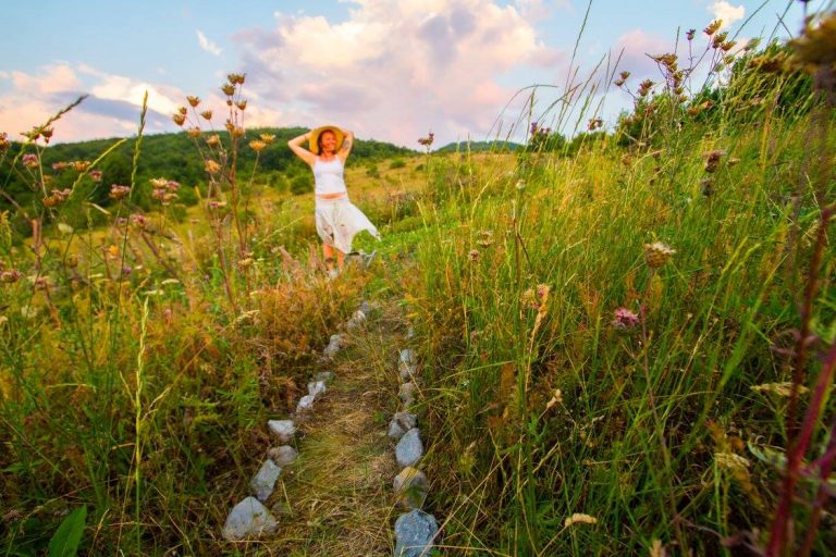 11890470 10153787381543322 1810417290002073248 o 768x512