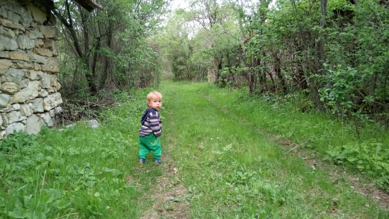 18216559 10155513278263322 4298846476571651368 o 768x432