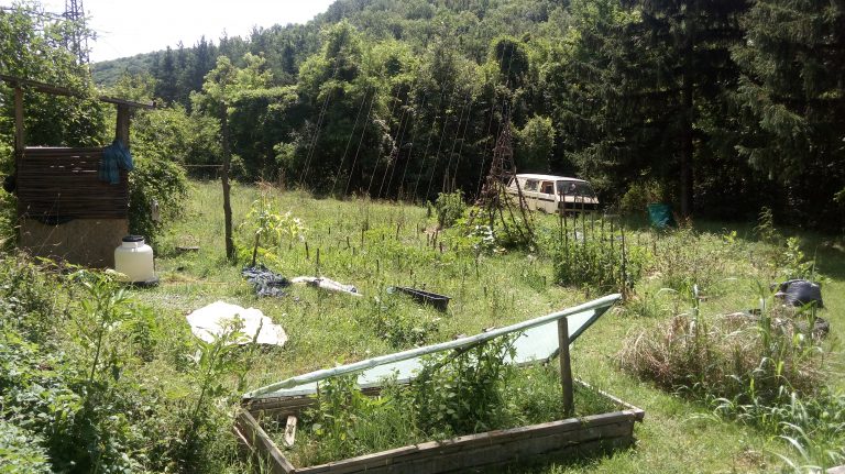 20180623 121344 768x431