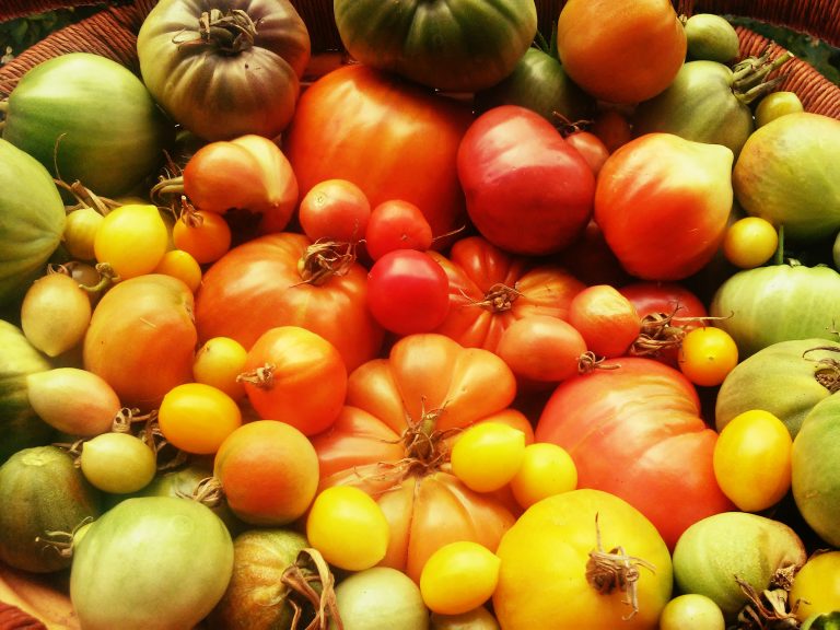 20181022 095728 768x576