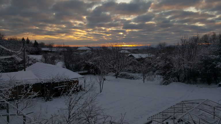 20200107 081035 768x432