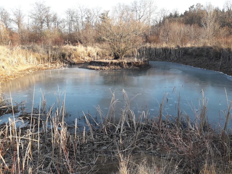 20200123 162110 768x576