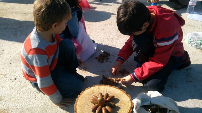 23131586 10214863810098819 3257101912026630725 n 768x432