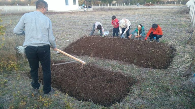 23376164 10214863814458928 7910400977786856027 n 768x432