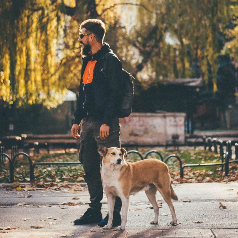 23511422 1731328483608184 735287437550292345 o 768x768