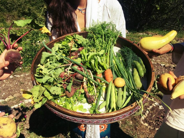 39813909 2229611317301228 5869133231583920128 s 768x576