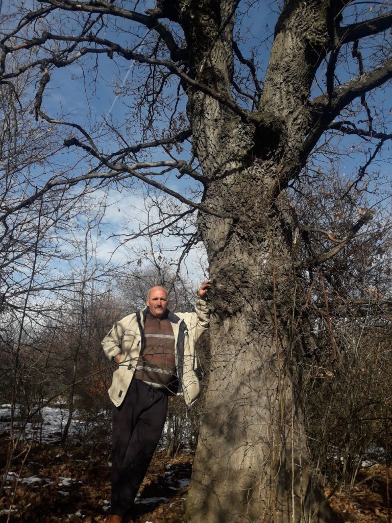 464136675 374189 768x1024