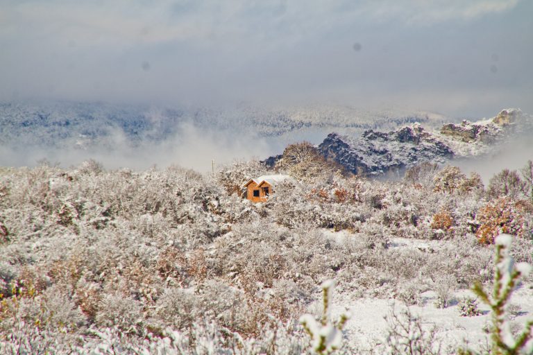 46458576 10157143355013322 2936431701045280768 o 768x512