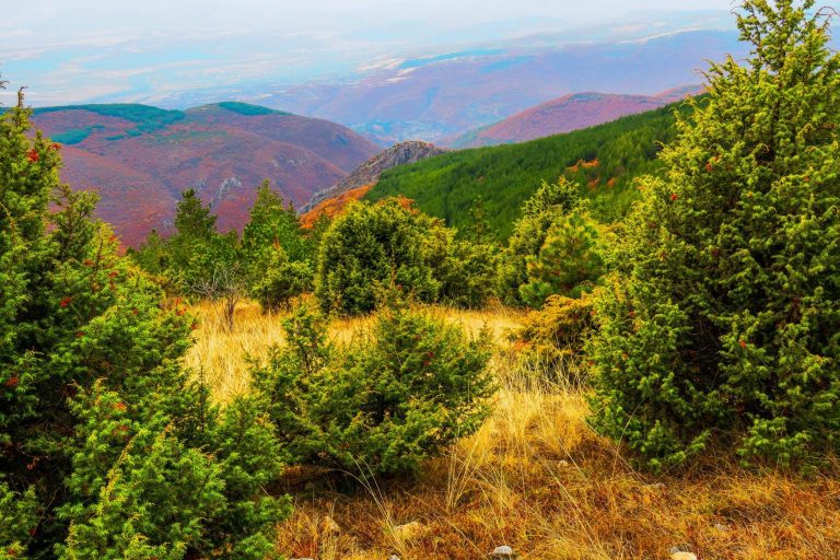 47312611 10157182158528322 7889618712435621888 o 768x512