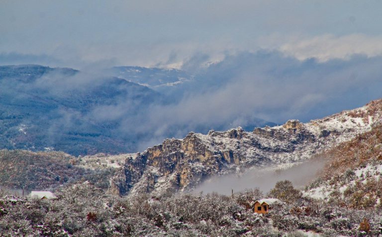 49432750 356264778495880 1609351097946734592 o 768x477