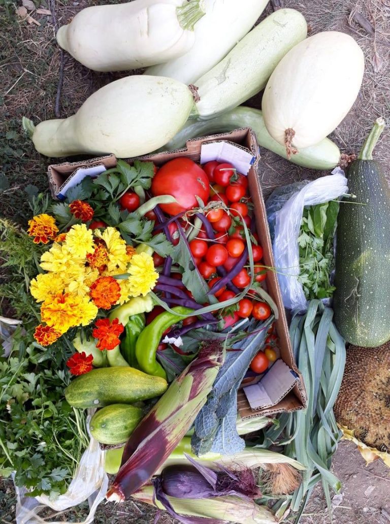 70318272 10157847554483322 8876988155702542336 o 768x1032