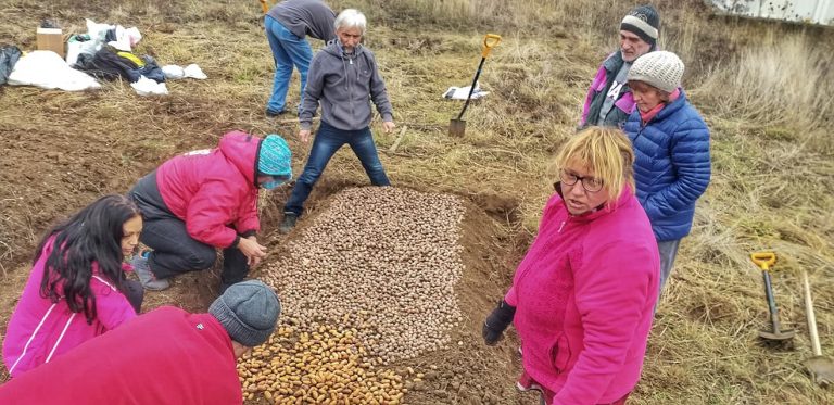 78806446 10220985066846412 9039196262879985664 o 768x373