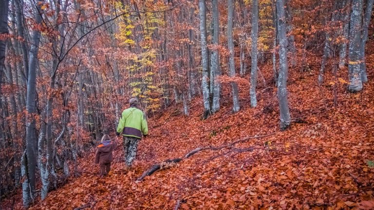 79601983 10158094485893322 891513559995908096 o 768x432