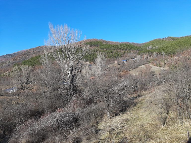 82085565 10158223790128322 669990940848422912 o 768x576