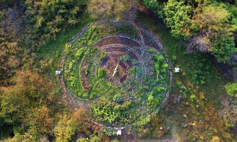 Darma Garden 768x462