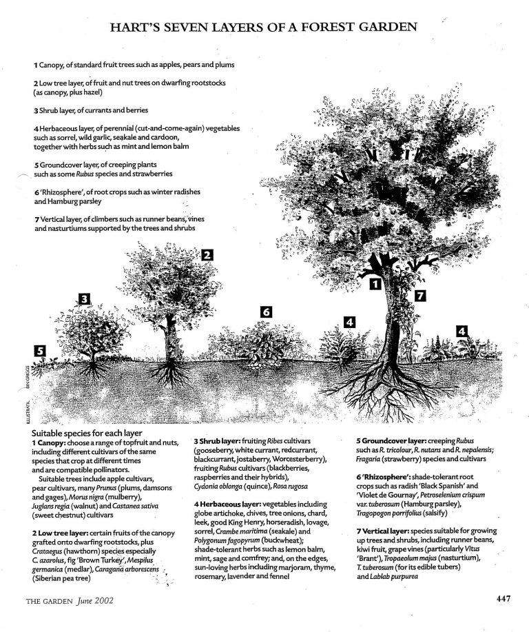 Harts seven layers 768x917