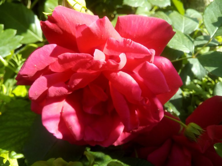 IMG 20180520 164813 768x576