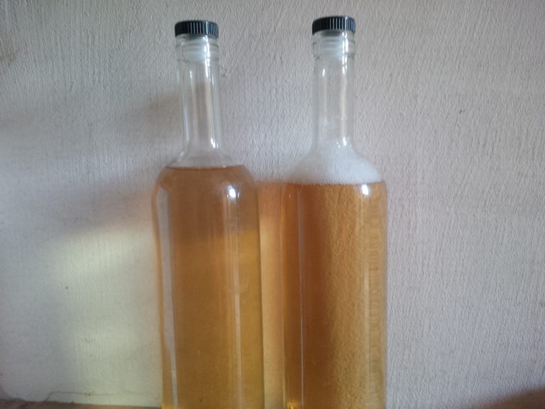 IMG 20191105 090505 768x576