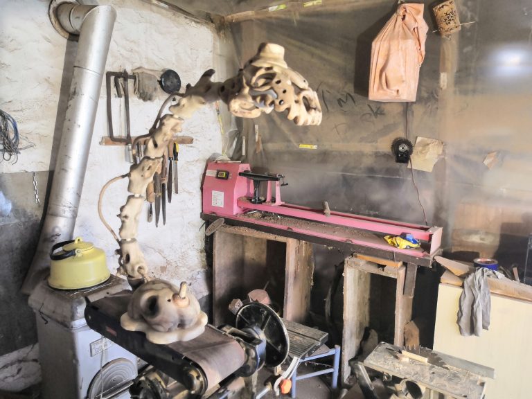 IMG 20191123 121524 768x576