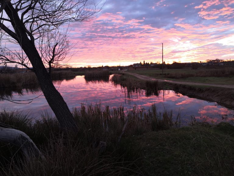 IMG 20191130 072303 768x576