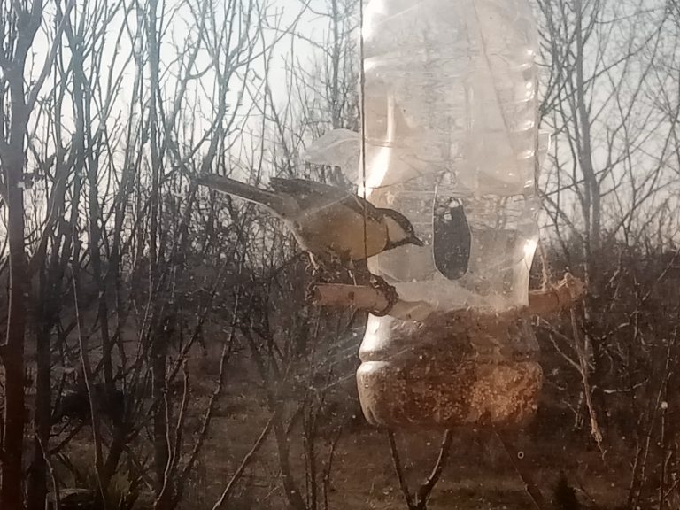 IMG 20200121 094930 768x576