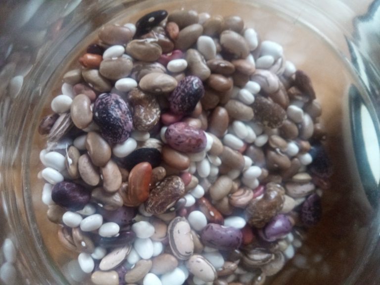 IMG 20200131 074745 768x576