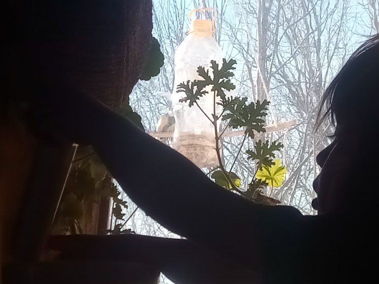 IMG 20200201 102949 768x576