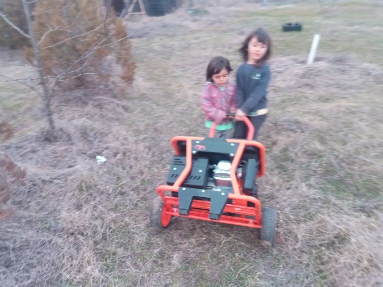 IMG 20200203 172350 768x576