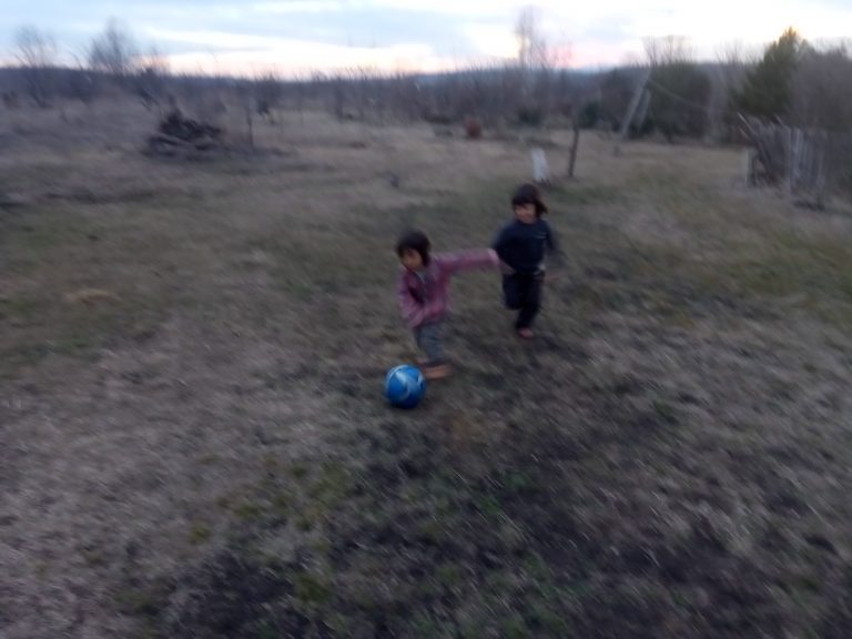 IMG 20200203 173042 768x576