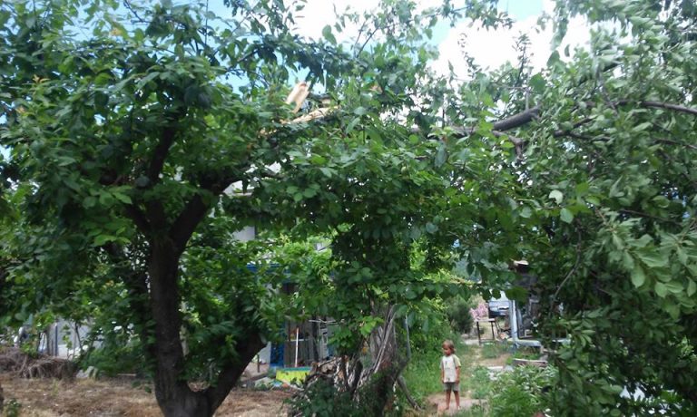 10499508 1167142829969870 5747230300048411129 o 768x460