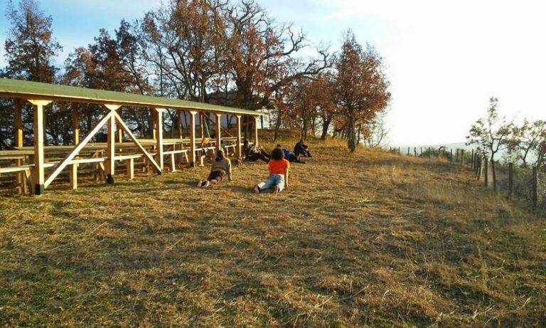 10854449 1039150249435796 7380059101515105481 o 1 768x461