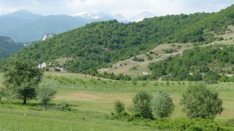 11218550 1147202128630607 8702878596890006173 o 1 768x431