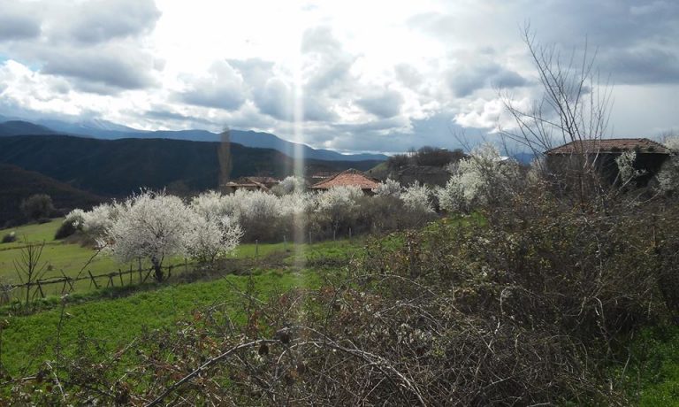 12747406 1351549788195839 5627102144652166268 o 1 768x460