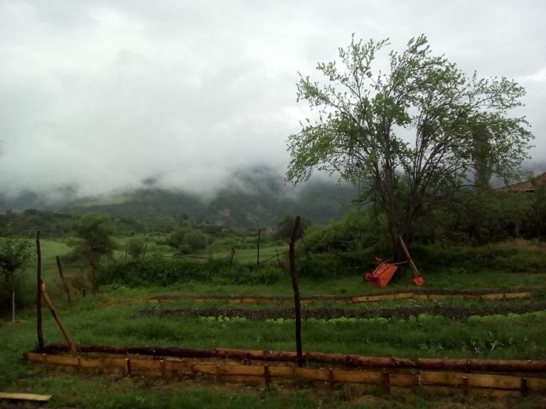 13254820 1446732208677596 8007034644606004103 o 1 768x576