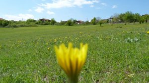 1493563 863308967019926 6929518361664672761 o 1 300x168