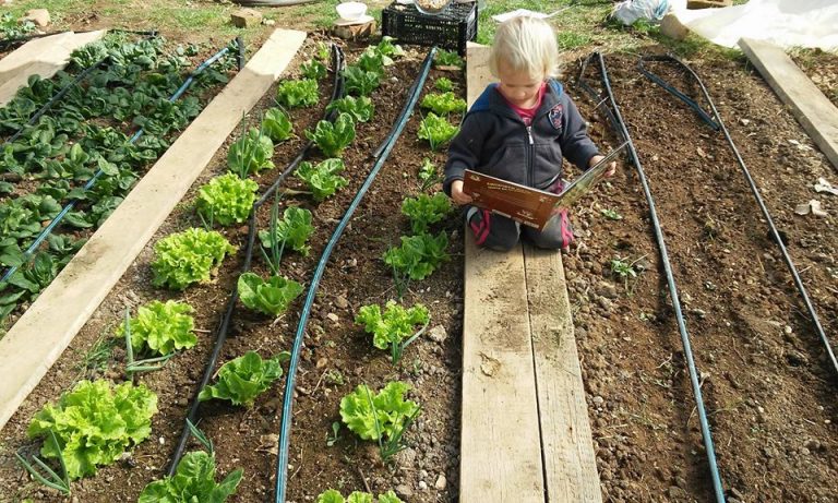 17097590 1852123228138490 7431687279405577946 o 1 768x461