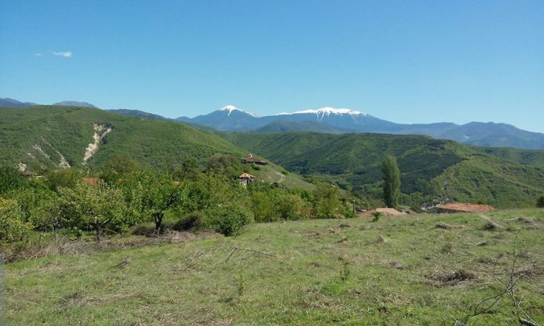 18121939 1931941610156651 997827312865080109 o 1 768x461