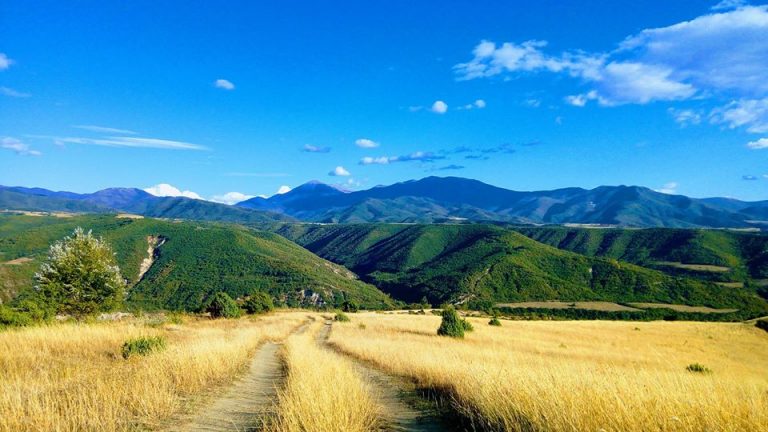 21753210 2150483654969111 5142568564327542715 o 768x432