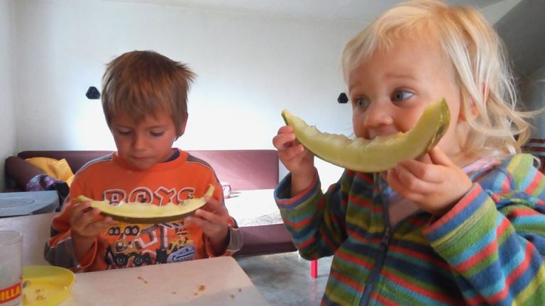 23331460 2218850394799103 4432193482528499090 o 768x432