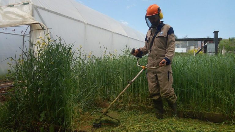 30167615 2473998869284253 478979131199932511 o 1 768x432