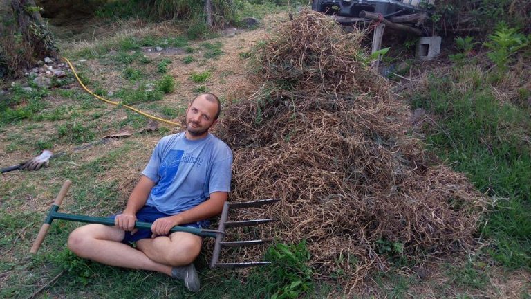 32595113 2511837905500349 1766029125492932608 o 1 768x432