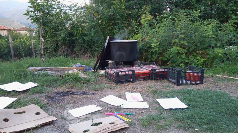 36531091 2596437140373758 7647850755621126144 o 1 768x432