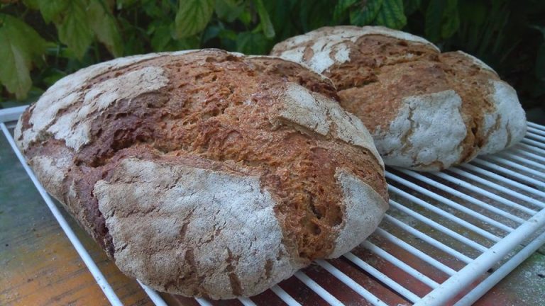 39610595 2703937649623706 4101569634535211008 o 768x432