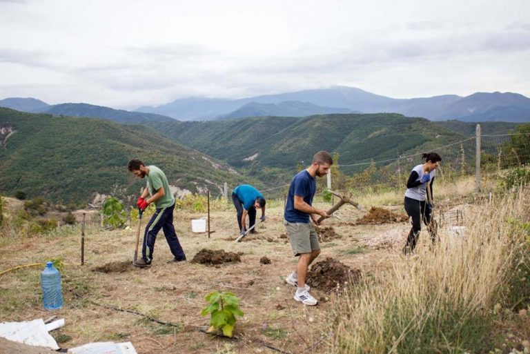 42901578 2783055735045230 6494542643828097024 o 1 768x513