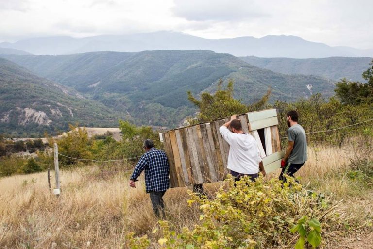 42901880 2783055465045257 6218246092006359040 o 1 768x513