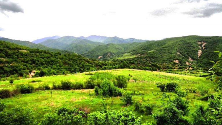 73042478 3773812722636188 5343209959293190144 o 1 768x434