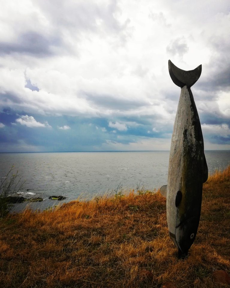 IMG 20190714 210413 033 768x960