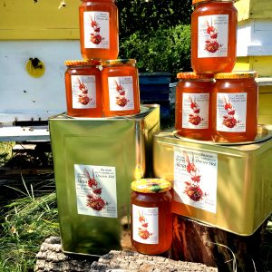 67545445 2488717878016960 7346629078356590592 o 300x300